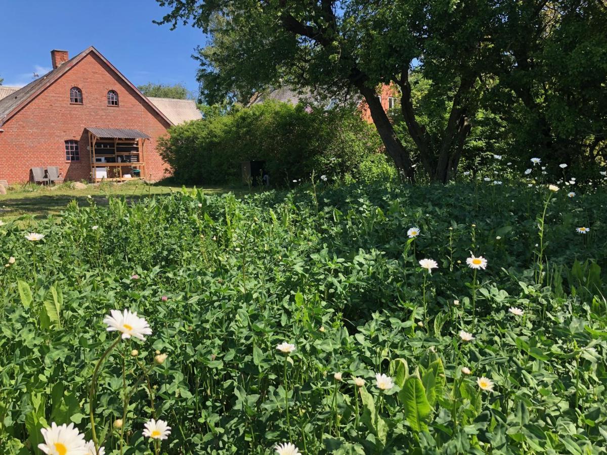 Helles Have Glamping Stege Exterior foto